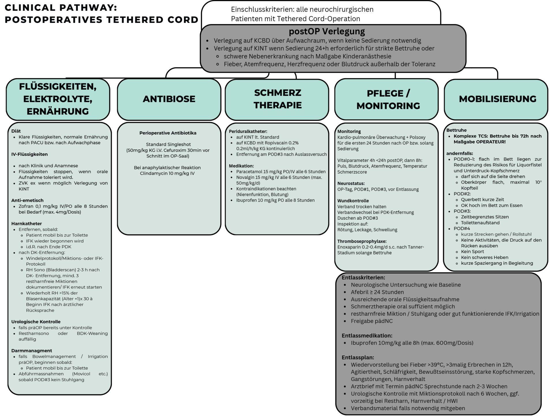 Infografik: Klinischer Weg nach offener Postoperative Tethered Cord Lösung mit postOP-Verlegung und Fächern zu Flüssigkeiten, Antibiotika/Labor, Schmerztherapie, Pflege/Monitoring und Mobilisierung.